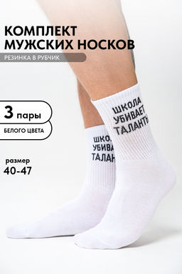 Носки мужские Талант (набор 3 пары)