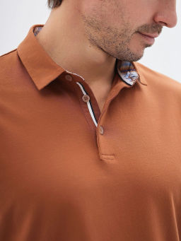 Джемпер мужской с воротником поло короткий рукав GREG G144-KO-HJ-70138-1246T (терракот)  фото 2