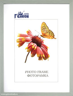 Фоторамка 20,4x25 / 1607D-38L /уп10