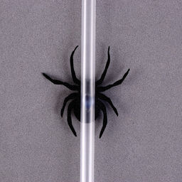 Трубочки для коктейля Паук, в наборе 6 шт., цвета МИКС - Страна карнавалия фото 3