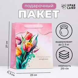 Цена за 2 шт. Пакет ламинированный вертикальный Весенние тюльпаны, 23?27?11.5 см