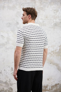 TRENDYOL MAN Ekru -Lacivert Cizgili Regular Fit Dokulu Polo Yaka Triko Tshirt TMNSS25PO00039 - Trendyolmilla фото 5