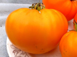 Помидоры German Orange Strawberry — Клубника Оранжевая