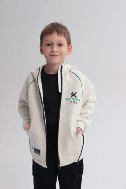 Толстовка на молнии с капюшоном Серый