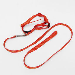 Комплект амуниции рельефный, поводок 120 х 1,5 см, ОГ 36-49 см, красно-жёлтый - Пижон фото 10