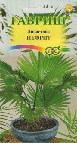 Ливистона китайская Нефрит 3шт. (Гавриш)