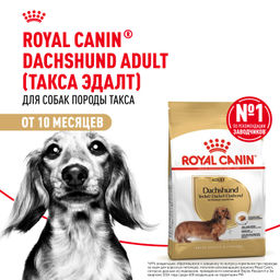 RC Для собак-взрослой Таксы: с 10 мес. (Dachshund 28) 30590750R1