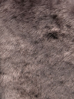 сапоги
								BELWEST  фото 6