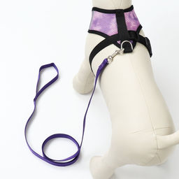 Комплект для собак 3-5 кг, размер S, поводок 120 х 1,5 см, ОШ 24 см, ОГ 34 см - Пижон фото 3