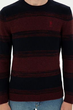 Мужской приталенный бордово-красный свитер с круглым вырезом Неожиданная скидка в корзине - U.s. polo assn фото 6