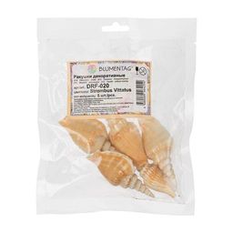 Blumentag / Zlatka DRF-020 Ракушки морские 5 шт. 7.6 см Strombus Vittatus  фото 3