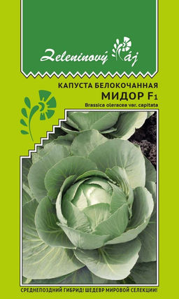 Капуста белокочанная МИДОР F1  Среднепоздний гибрид! Шедевр мировой селекции!