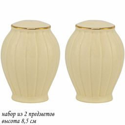 205-150 Набор солонок MARZIPAN в под.уп.(х48)Фарфор