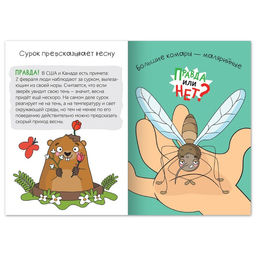 Обучающая книга Правда или нет? Как в народе говорят, 44 стр. - Буква-ленд фото 2