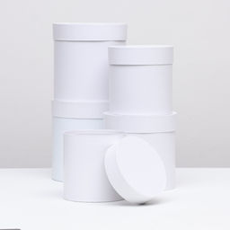 Набор круглых коробок 5в1 Белизна перламутровая, 20 20 15 15 см - Simaland фото 2