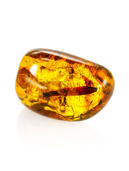 Сувенирный янтарь с инклюзами насекомых и органическими включениями