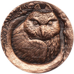 Монета 25 центов 2025 года Самоа Болотная сова