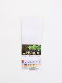 Цена за 2 шт. Календарь 2026 отрывной на магните «Садово-огородный», 9.5×13 см
