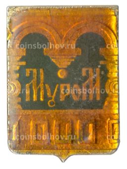 Значок Муром