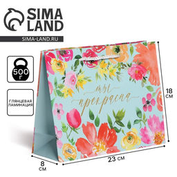 Цена за 2 шт. Пакет подарочный ламинированный, упаковка, Beautiful, MS 23 х 18 х 8 см