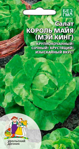 Салат КОРОЛЬ МАЙЯ Крупный кочан! Сочный! Хрустящий! Изысканный вкус!