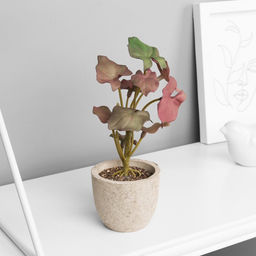 Искусственный цветок в горшке «Филодендрон селло элит» (мягкий лист), 14×6 см, МИКС