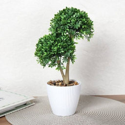 Цветочная композиция Зелень самшит 29 см / 9090-10 /уп 9/72/ - Галеонтрейд фото 6