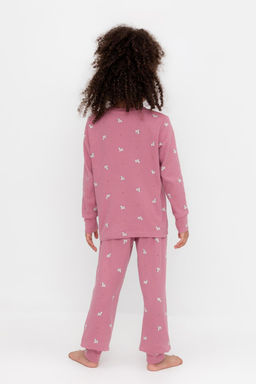 К 1552/пепельная роза,смешные зебры пижама дет