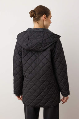 TRENDYOLMILLA Gri Kapusonlu Su Itici Kapitone Mont TWOAW23MO00131  фото 42