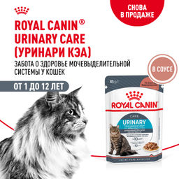 RC Кусочки в соусе для кошек при профилактике МКБ (Urinary care in gravy ) 41570008A0/41570008R0