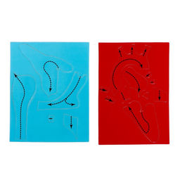 Набор для опытов Моё тело, сердце - Эврики фото 5