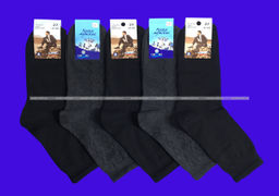 Цена за 5 пар. 5 ПАР - САРТЭКС носки мужские арт. Г-18 р СЕРЫЕ