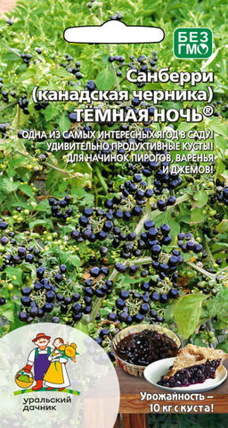 Санберри (канадская черника) ТЁМНАЯ НОЧЬ  Одна из самых интересных ягод в саду! Удивительно продуктивные кусты! Для начинок пирогов, варенья и джемов!