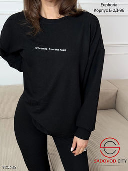 Костюм спортивный двойка