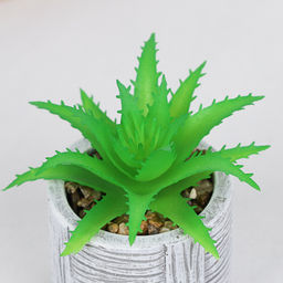 Цветочная композиция Кактус / WER-22 /уп 12/192/ микс - Галеонтрейд фото 25