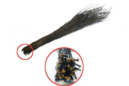 Веник Чилиговый/БШК