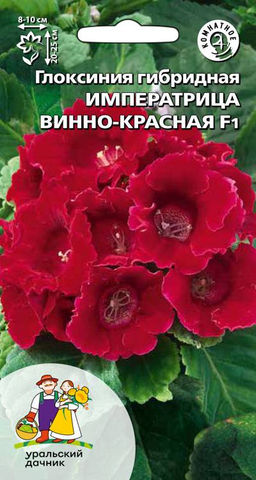 Глоксиния императрица ВИННО-КРАСНАЯ