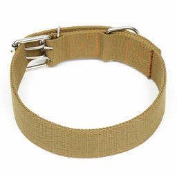 Ошейник брезентовый двухслойный, 84 х 4,5 см, песочный - Пижон фото 2