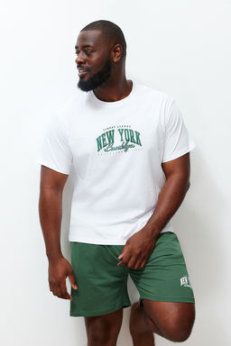 TRENDYOL MAN Ekru Yesil Regular Fit Bask?l? Buyuk Beden Sortlu Pijama Tak?m? TMNSS24AI00005 - Trendyolmilla фото 3