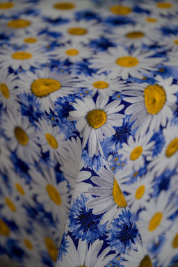 Скатерть Ромашковое поле