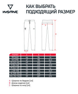 Брюки парадные INSANE RBF IN25-OS100-К, синий