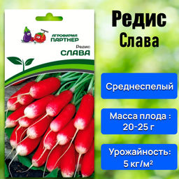 Редис Слава