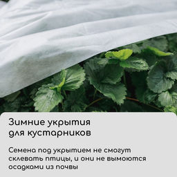 Материал укрывной, 5×1.6 м, плотность 60 г/м², спанбонд с УФ-стабилизатором, белый, Greengo, Эконом 30%