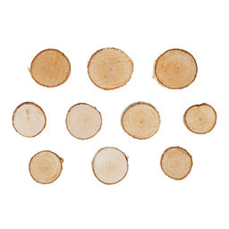 Blumentag СРЕЗ-21 срез дерева d. 2-3 см  0.5 10 шт. береза