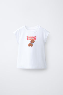 CAMISETA ESTAMPADO ANIMAL / Blanco
