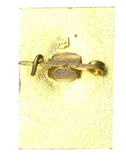 Значок Петродворец