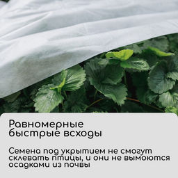 Материал укрывной, 5 × 1.6 м, плотность 20 г/м², спанбонд с УФ-стабилизатором, белый, Greengo, Эконом 30%