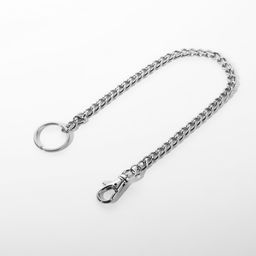 Цена за 5 шт. Кольцо для брелока на цепочке, с карабином, d = 28 мм, 39 см, цвет серебряный