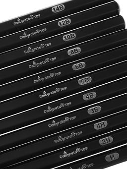 Набор карандашей чернографитных, 11 штук (14 В, 12 В, 10 В, 8 В, 6 В, 5 В, 4 В, 3 В, Н, 2Н, 4Н)