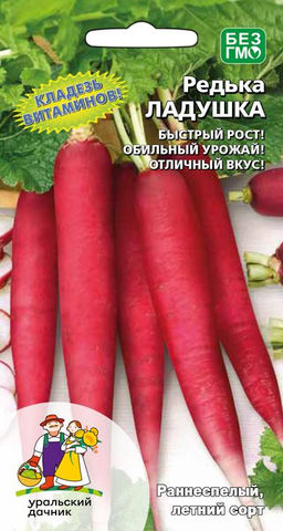 Редька ЛАДУШКА  Обильный урожай! Кладезь витаминов! Отличный вкус!